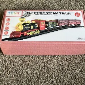 Term electric steam train